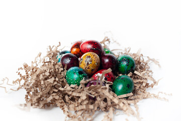 Fototapeta na wymiar Easter traditions. colorful quail eggs in the nest on White background