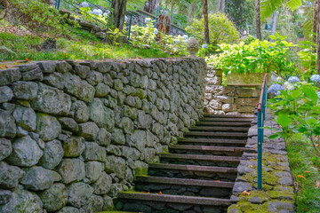 Botanical garden at Funchal, Madeira