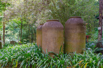 Botanical garden at Funchal, Madeira