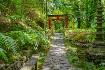 Botanical garden at Funchal, Madeira