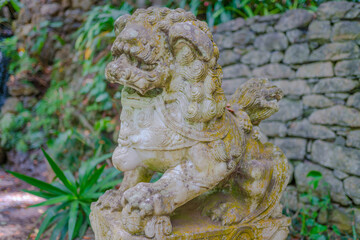 Botanical garden at Funchal, Madeira
