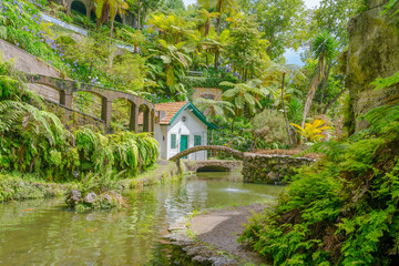 Fototapeta na wymiar Botanical garden at Funchal, Madeira