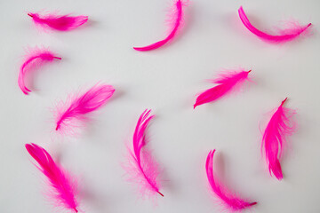 Obraz na płótnie Canvas pink and white feathers