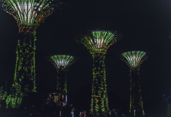 Singapore Travel Tree Light