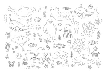 Vector set of sea animals and plants. Black and white outline underwater fishes, seaweeds, corals, arctic animals. Coloring page or book for children.