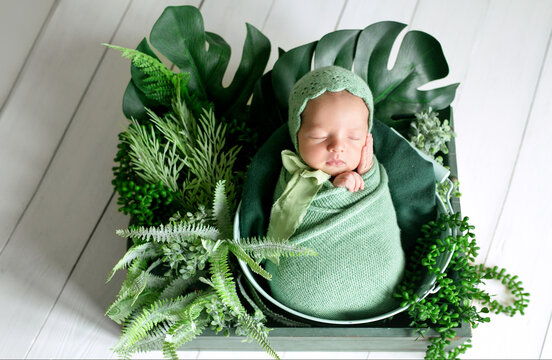 A newborn baby is swaddled in a green woolen diaper and sleeps sweetly among tropical plants with monstera leaves. Photo session of newborn children