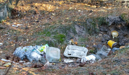 Garbage dump in the forest, pollution of nature. People illegally threw garbage into the forest....