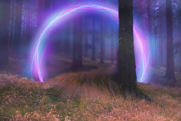 Neon portal in the foggy forest, magical evening - 484427362