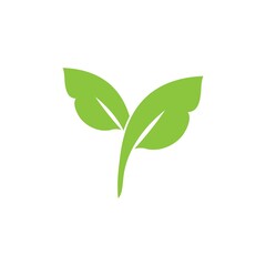 leaf logo icon vector design template