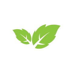 leaf logo icon vector design template