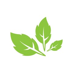 leaf logo icon vector design template