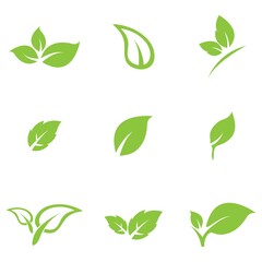 leaf logo icon vector design template