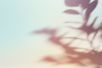 Obraz premium Natural foliage shadow on gradient paper background. Abstract pastel floral backdrop. Soft light
