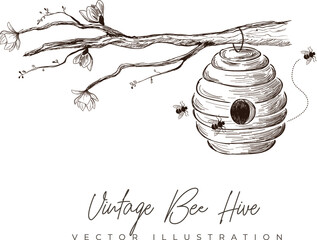 Vintage hand-drawn bee hive