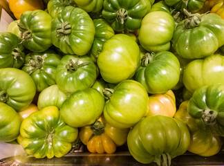 Marmande Verte, grünreife Fleischtomate