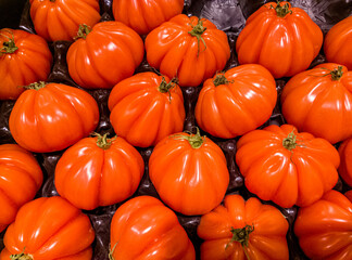 Fleischtomate Ochsenherz