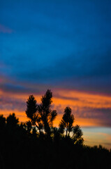 Fototapeta premium Sky Summer Sunset Outdoor Sunrise Nature