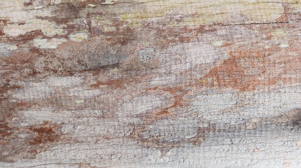 Old wooden texture with beautiful natural patterns in retro concept