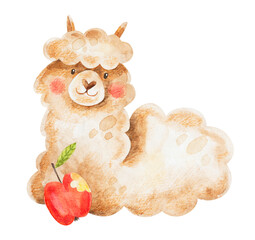 Cute alpaca with red apple. Watercolor hand-drawn illustration of lama