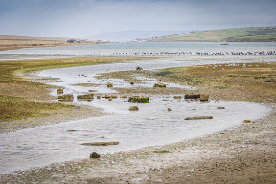 Chesil Beach, near Portland, Jurassic Coast, Dorset, England