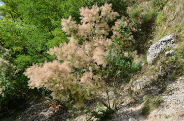 Greece,  Tzoumerka National Park