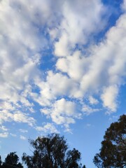 blue sky and clouds