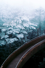 Winter At Smoky Mountain National Park