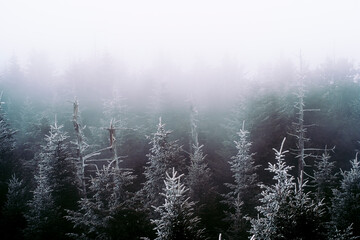 Winter At Smoky Mountain National Park