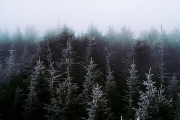 Winter At Smoky Mountain National Park