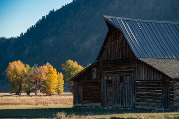 Fototapeta na wymiar Old barn with Fall color at Mormon Row