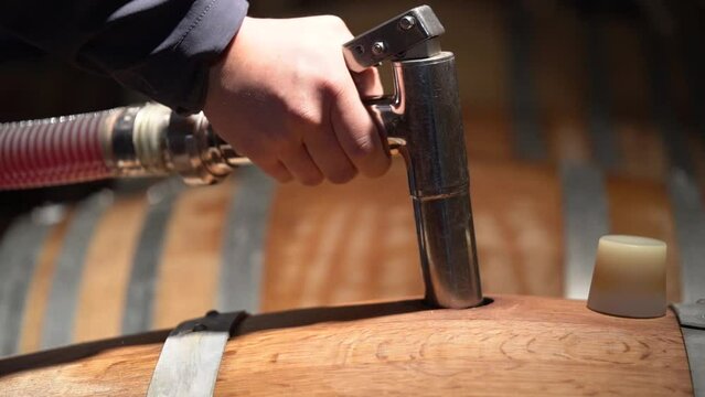 Man Filling Wine Wooden Barrels Inside Traditional Cellar. - static