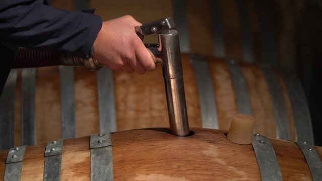 Topping up Wooden Barrels With Red Wine at a Cellar - medium shot
