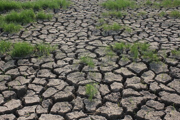 Soil drought conditions in Asian countries © Birch Photography