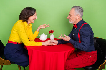Profile photo of peaceful idyllic elderly people sit cafe table hold hands isolated on green color background