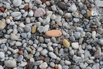 pebbles on the beach