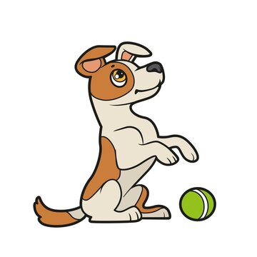 Cute cartoon dog jack russell terrier stands on his hind legs in front of the ball color variation for coloring book on white background
