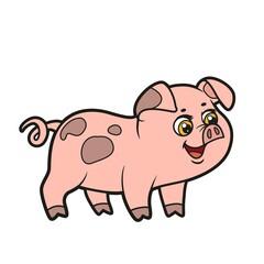 Obraz na płótnie Canvas Cute cartoon curious pig color variation for coloring book on white background
