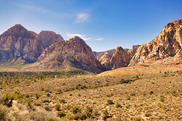 Fototapeta na wymiar Pine Creek Canyon in Red Rock Canyon National Conservation Area , close to Las Vegas, Nevada. Desert scenery with towering rock formations. 