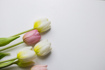 tulipany piekne kwiaty
