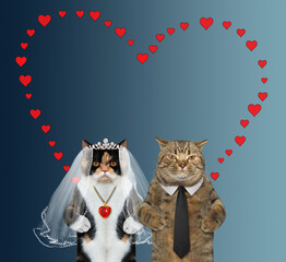 Two cats in love get married under a red heart. Blue background.