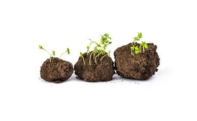  Seed bombing. earth balls. nendo dango. isolated