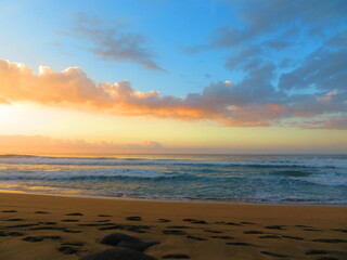 hiking the scenic shoreline in hawaii