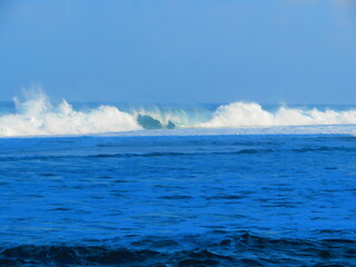 Fototapeta premium hiking the scenic shoreline in hawaii