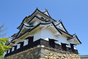 新緑の滋賀県の国宝彦根城02
