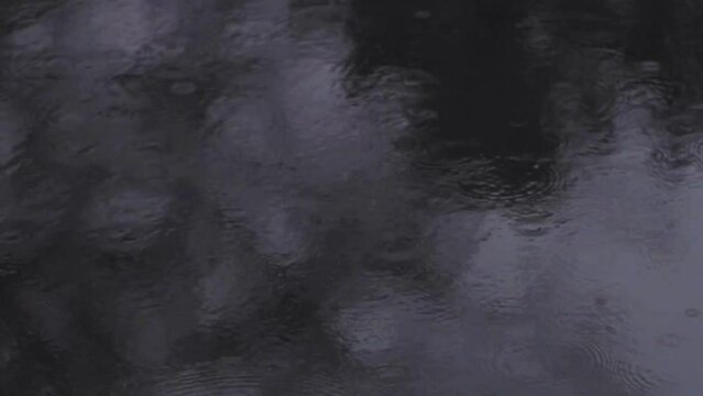 Rainfall droplets falling on surface of water. 