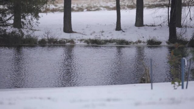 Snow covered landscape. Winter water scene. Slow motion. Handheld.