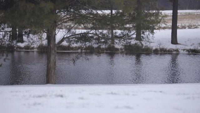 Snow covered landscape. Winter water scene. Slow motion. Camera pans right.