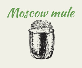 Moscow Mule Cocktail Hand Drawn Drink Vector Illustration