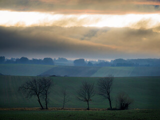  Evening landscape - sky with clouds over the meadows and forest.