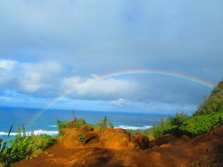 hiking beautiful coastline in hawaii